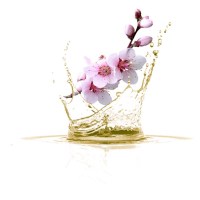 Αμυγδαλέλαιο